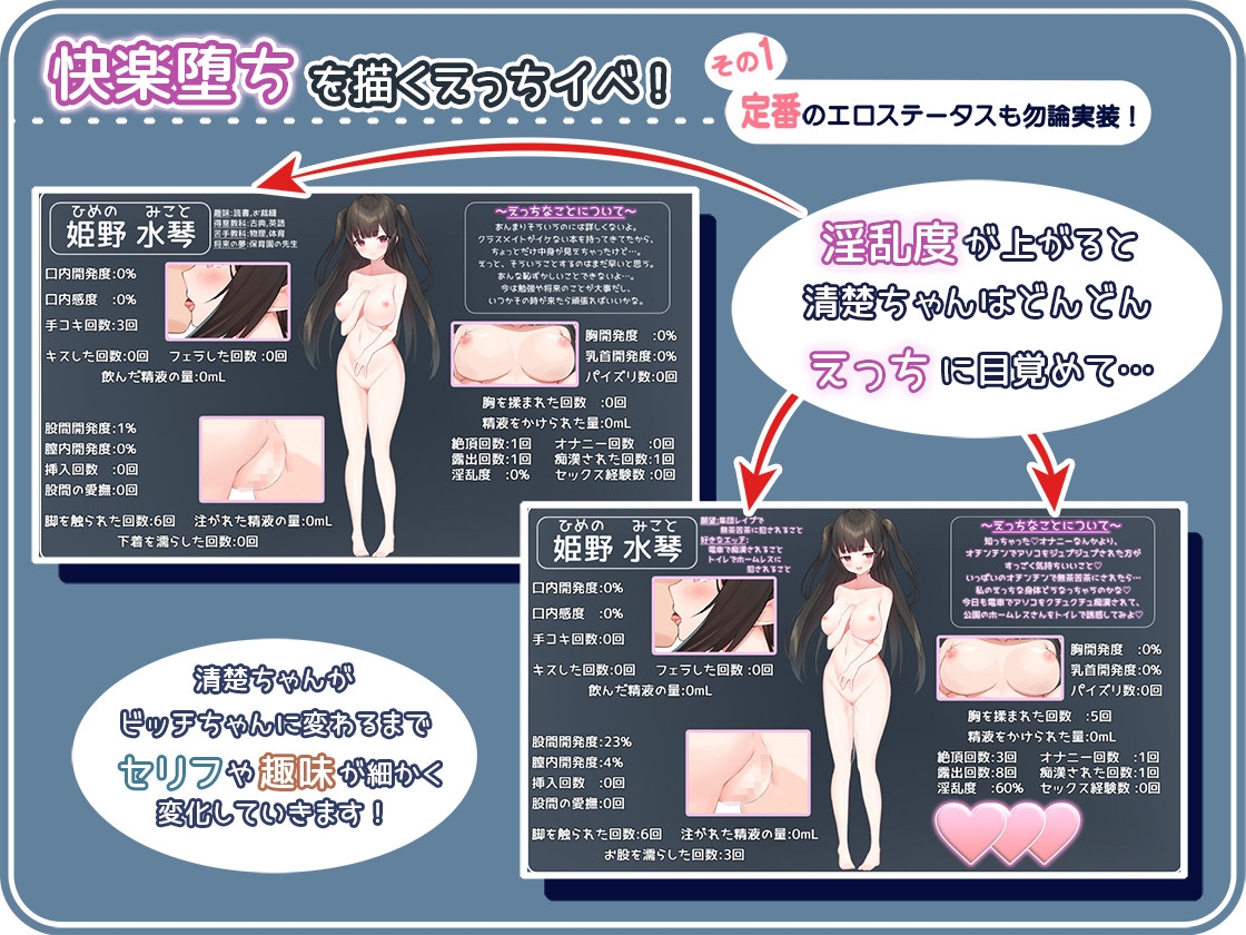 せいそ・ざ・びっち ～清楚ちゃんのセクハラ売春性活～