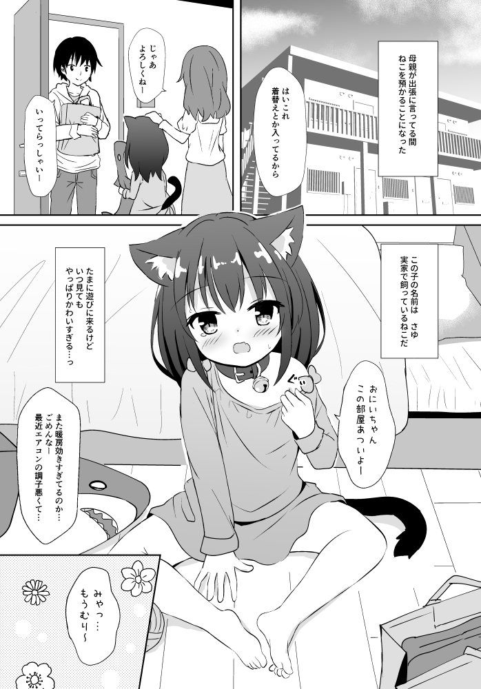 いもうとみたいなねこ