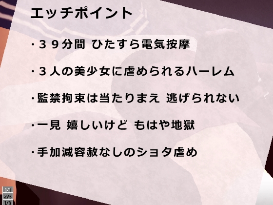 監禁拘束! 終わらない電気按摩地獄