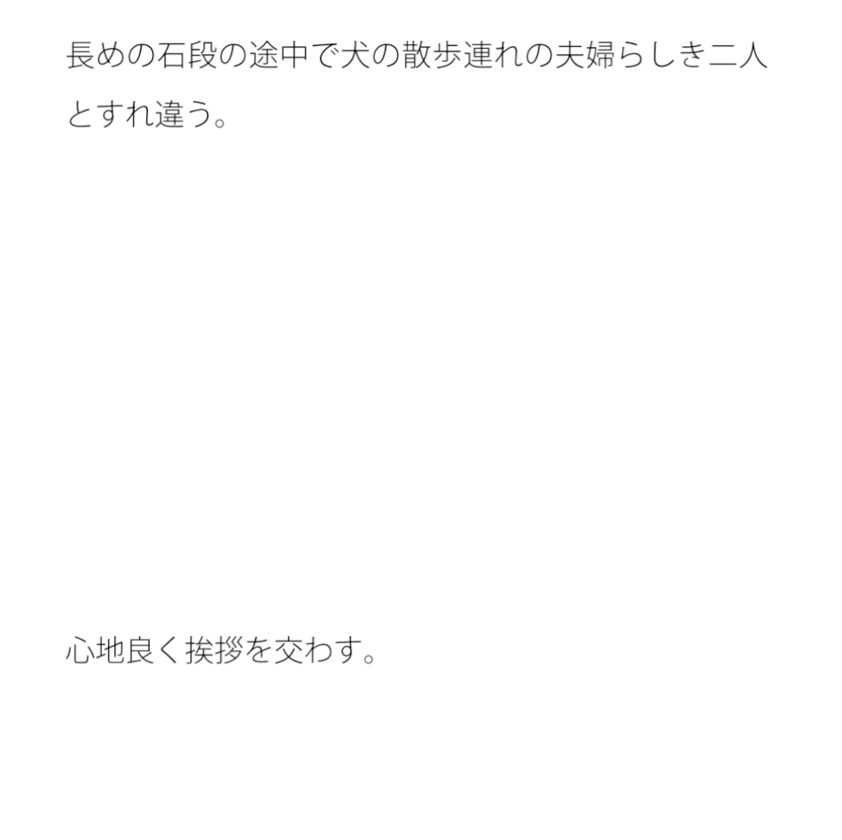 桟橋から覗く鯉(こい)の群れ 夕方の池へ向かう石段