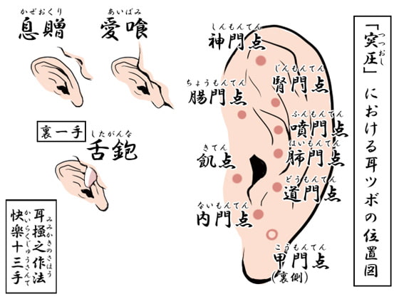 耳掻きマッサージ専門店「大和撫子」技術指導音声「耳掻之作法」快楽十三手