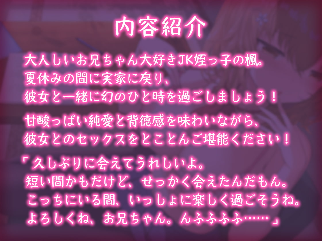 【青春純愛妄想系】姪っ子JKと過ごす甘々夏休み～背徳の初体験と忘れ得ぬ日々～
