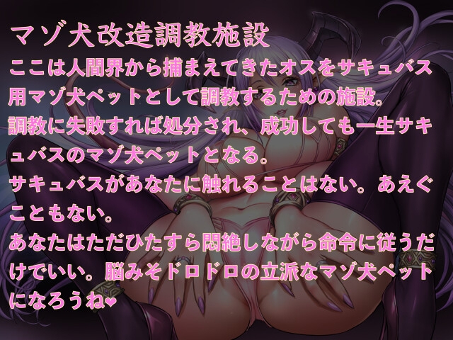 脳と亀頭を破壊するサキュバスのマゾ犬ペット改造調教