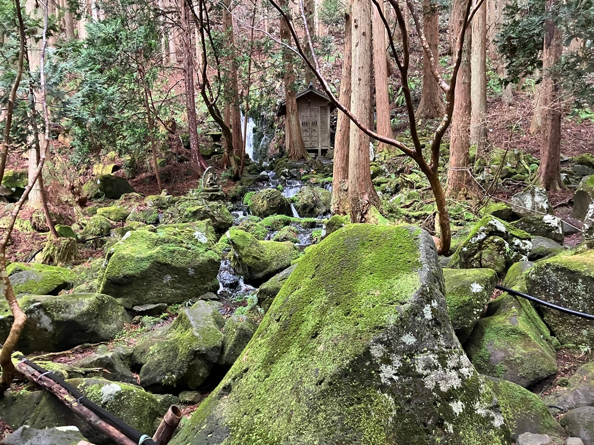 耳舐め&耳ふーサンドイッチ 田舎の癒し ～山形県遊佐町音源～ 【耳恋なかさん&そよかぜみらいさん/安眠特化/環境音現地収録】