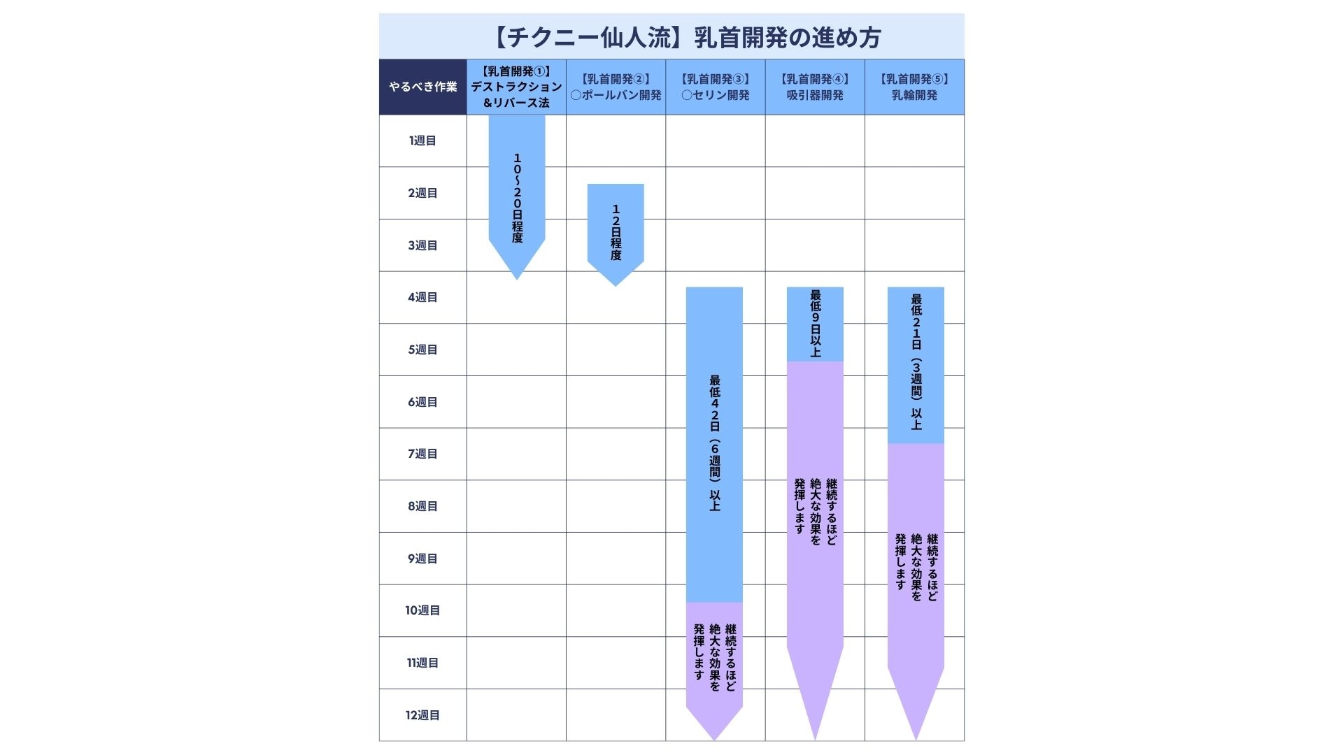 チクニー仙人流 メスイキの教科書 【ザ・チクニー】