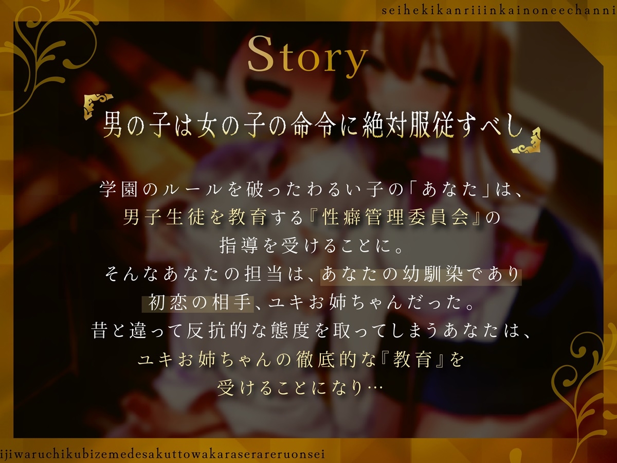 性癖管理委員会のお姉ちゃんにいじわる乳首責めででサクッと理解らせられる音声