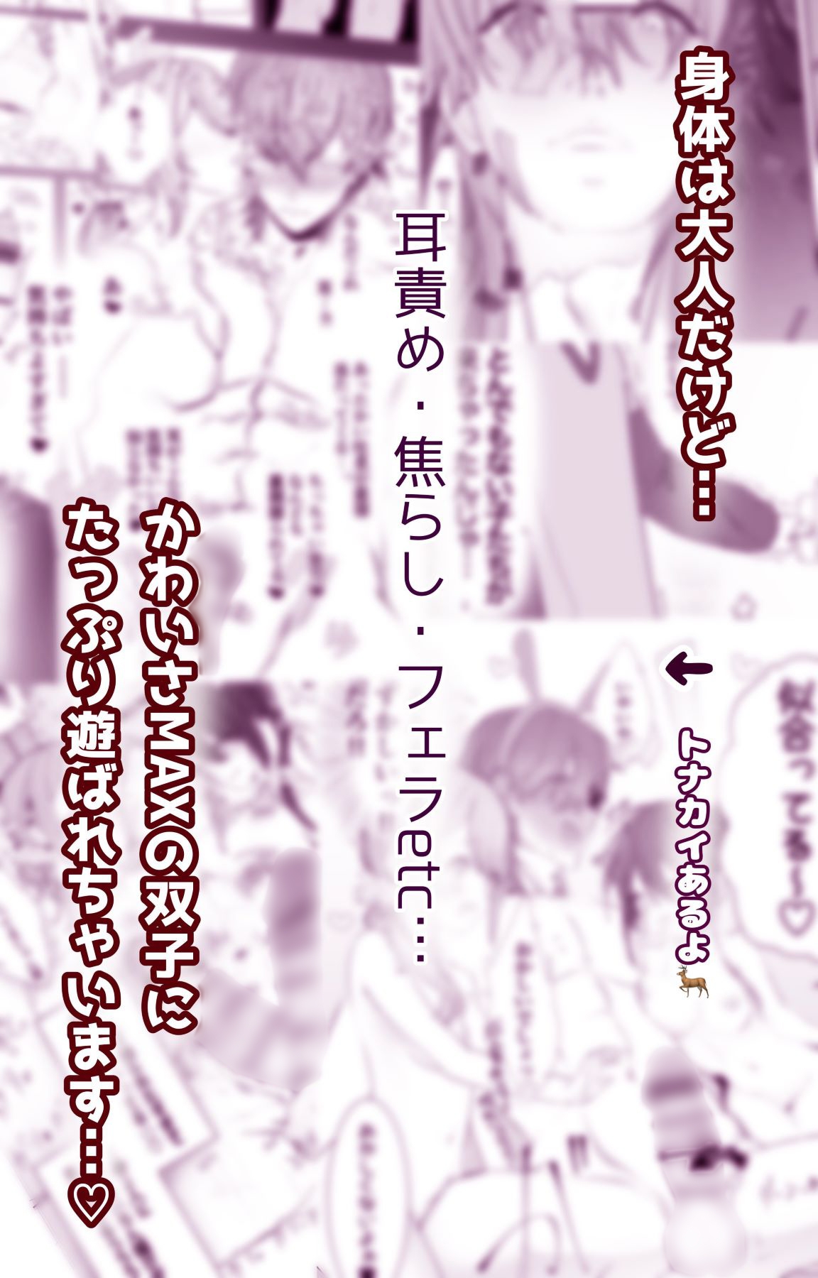 推しの双子配信者とクリスマスを過ごす本。