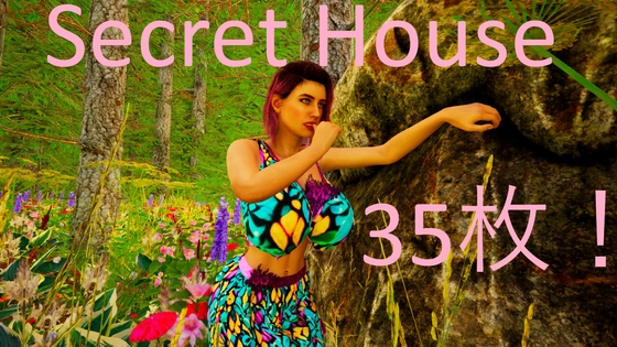 Secret House