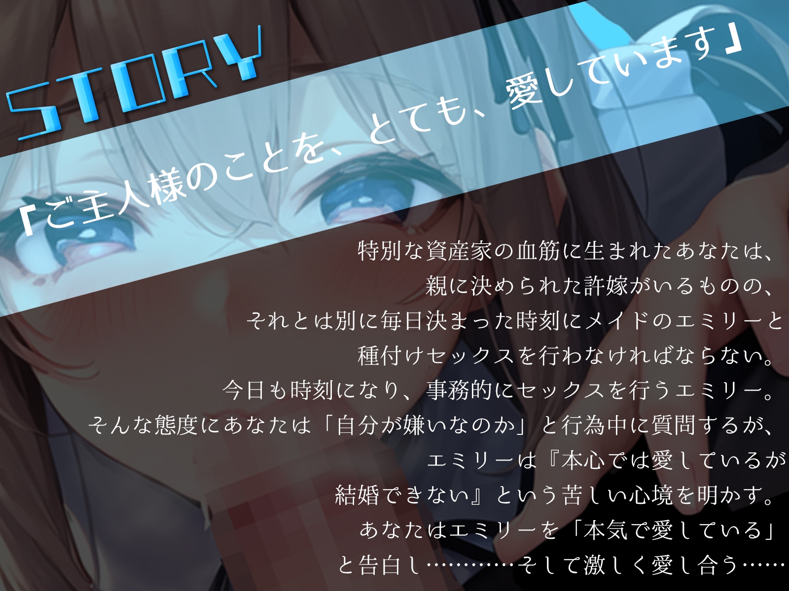 ご主人様、種付けのお時間です〜メイドと禁断の恋。場所も選ばず2人は激しく愛し合う〜