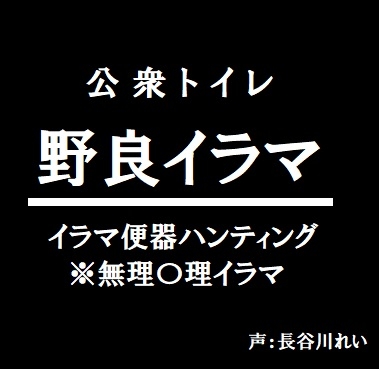 公衆トイレー野良イラマー