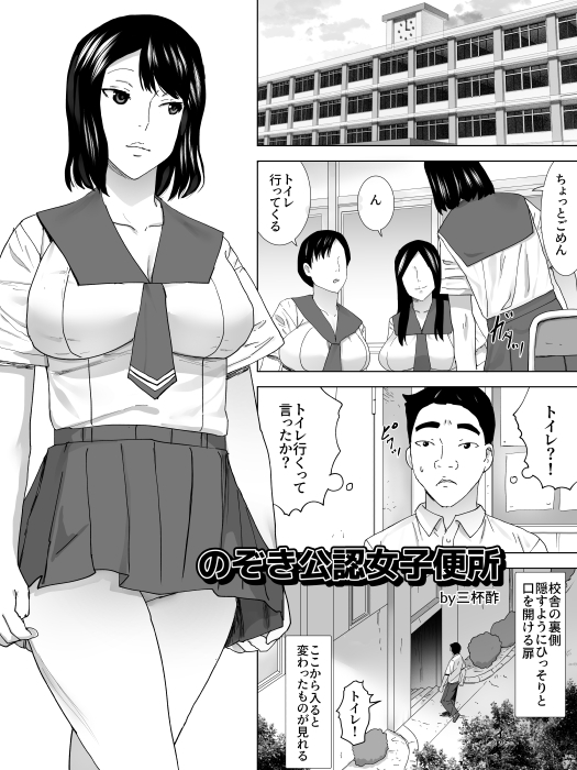 のぞき公認女子便所