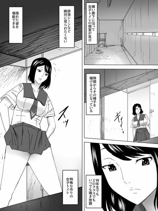 のぞき公認女子便所