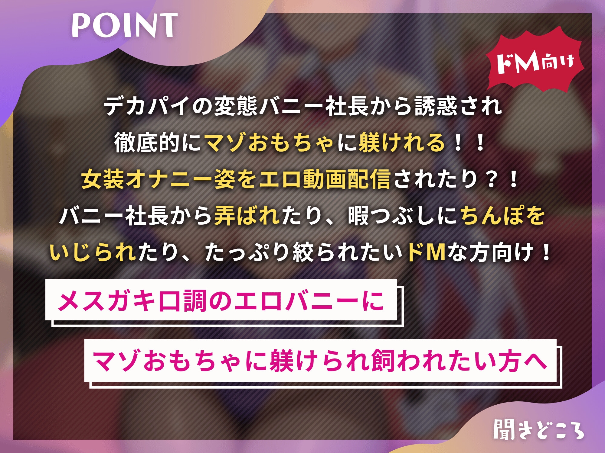 お嬢様バニー社長のマゾおもちゃ躾け～アンタはワタシの暇つぶし用のマゾおもちゃでいなさい～【ドM向け】【KU100】