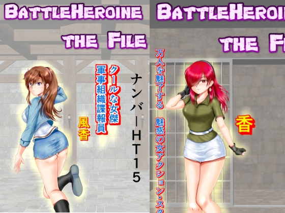 BattleHeroine The File V7 ナンバーHT15・HT20・HT25