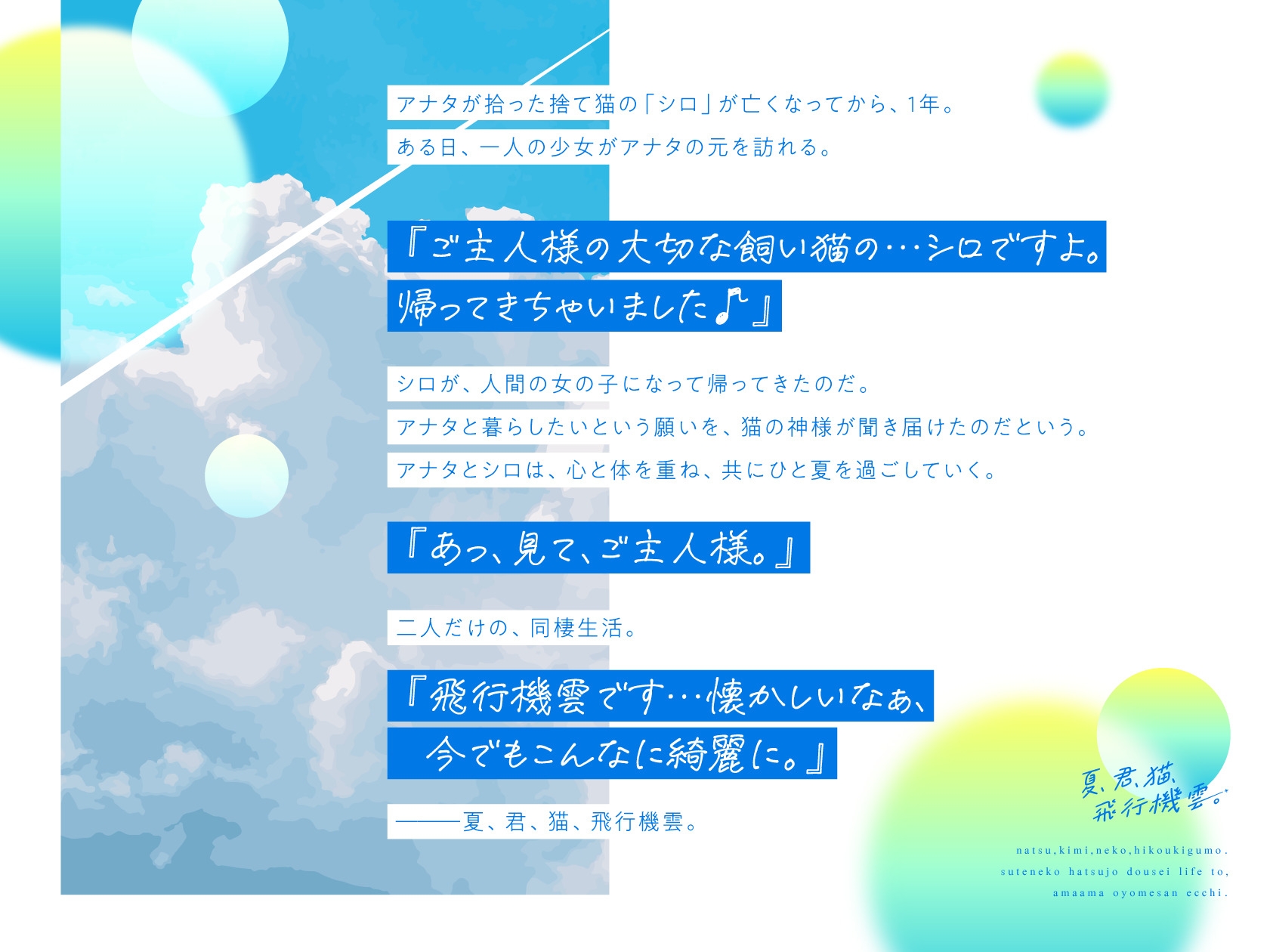 【?2周年記念差分イラスト?】夏、君、猫、飛行機雲。捨て猫発情同棲ライフと、あまあまお嫁さんえっち。【ず～っと110円!】