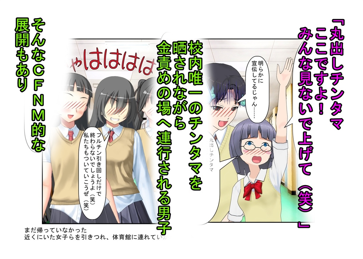 【金的・金的嘲笑】『元女子校の金的玩具二』「今日からクラスの女の子はみんな玉姉妹だね!」大事なタマタマを女子たちにおもちゃにされる元女子校唯一の男子生徒のお話