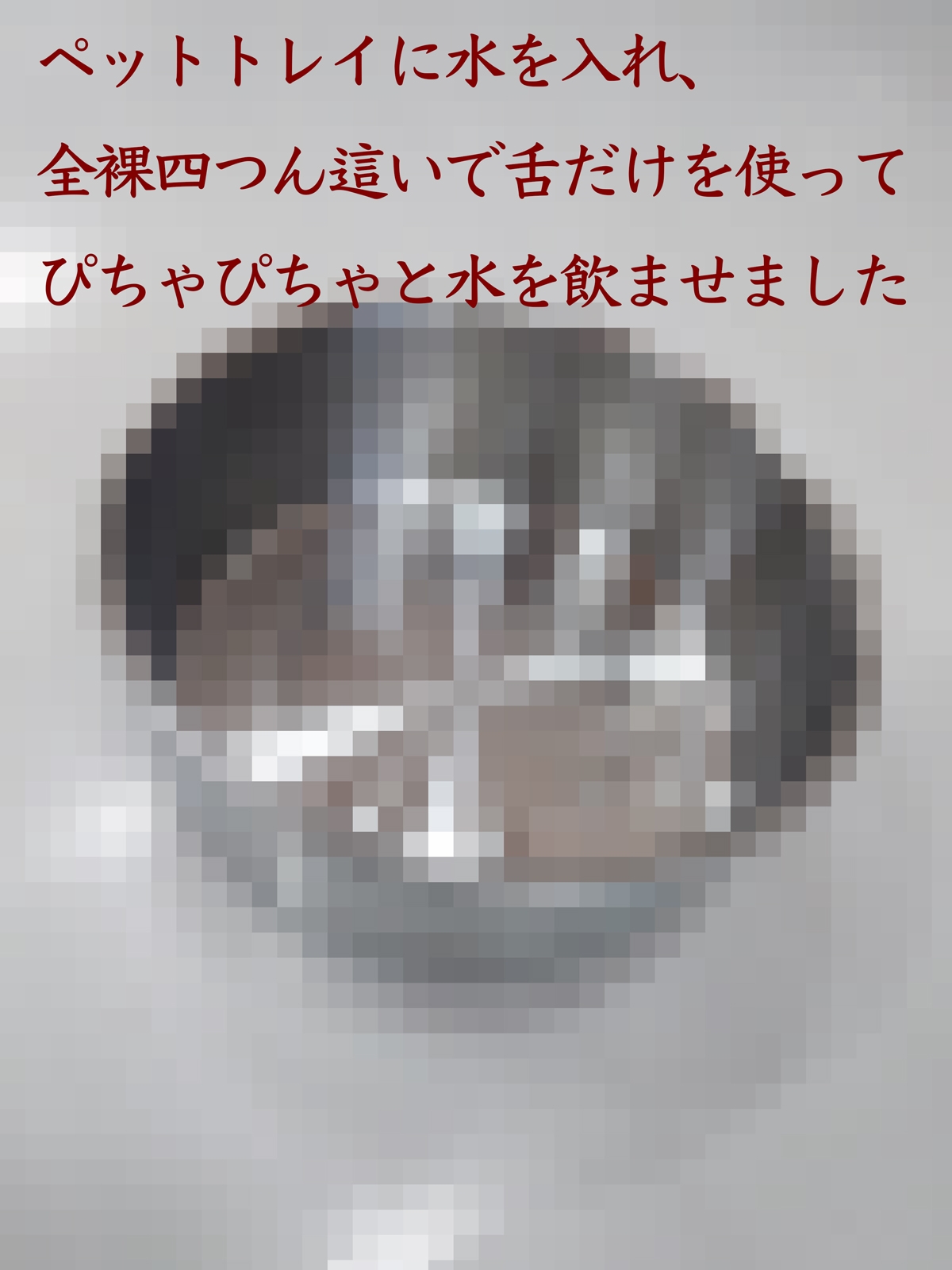 全裸四つん這いでペットトレイから舌だけを使って水飲み〜ペットトレイに放尿しながら絶頂オナニー(レナの調教記録～002)