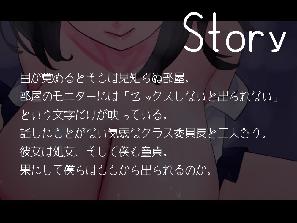 セックスしないと出られない部屋 -気弱な委員長が勇気を出して頑張りえっち-