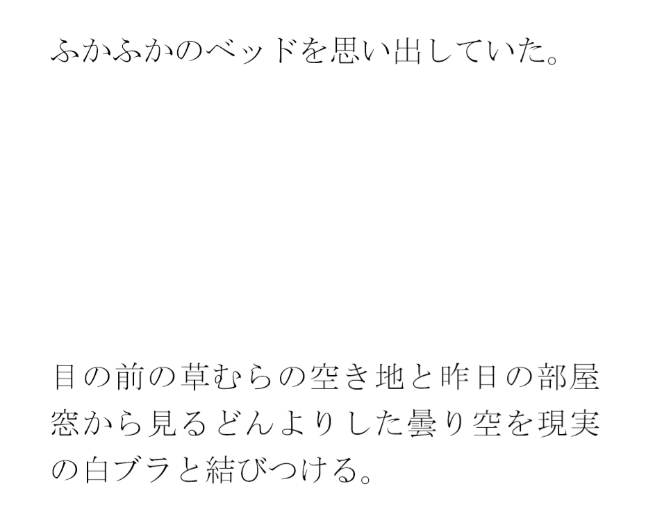 ホテル屋上と知人のおすすめのバー その横の空き地とベンチ