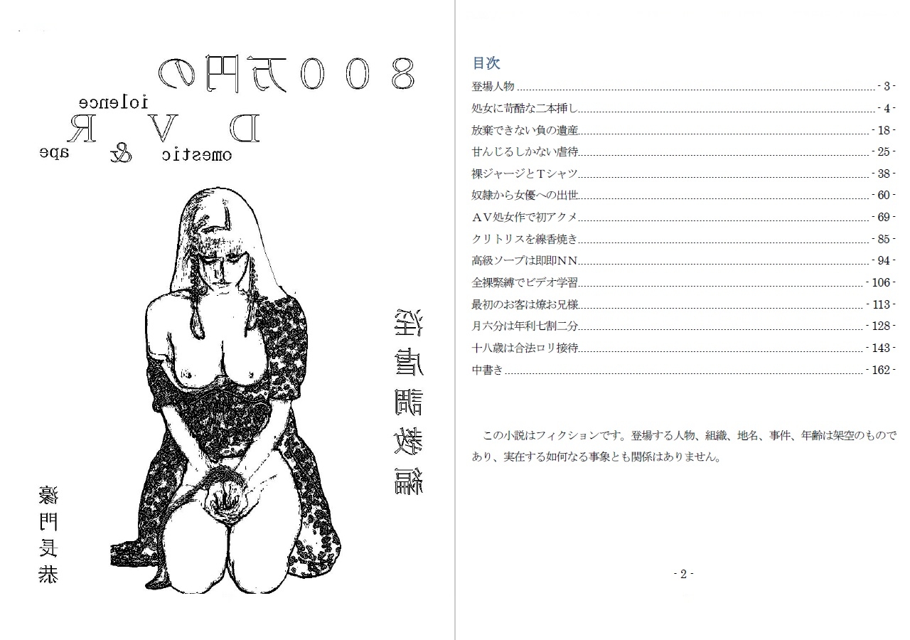 800万円のDVR:淫虐調教編