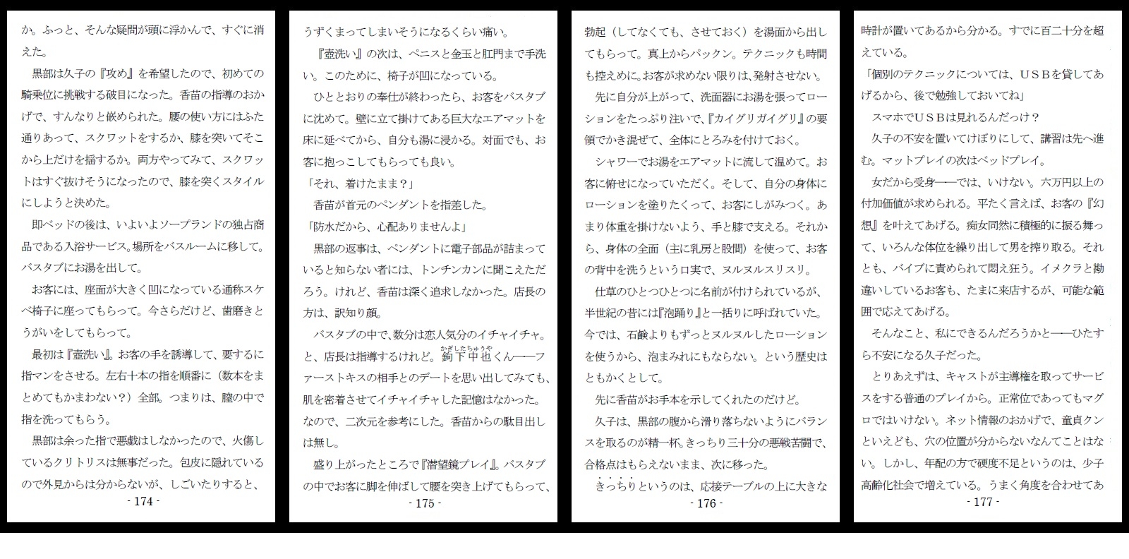 800万円のDVR:淫虐調教編