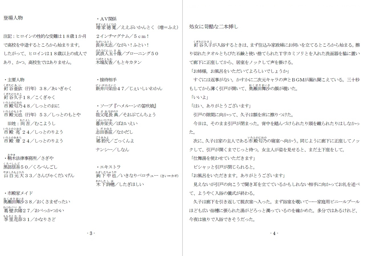 800万円のDVR:淫虐調教編