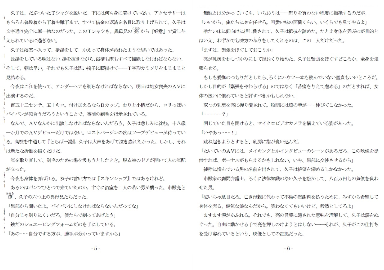 800万円のDVR:淫虐調教編