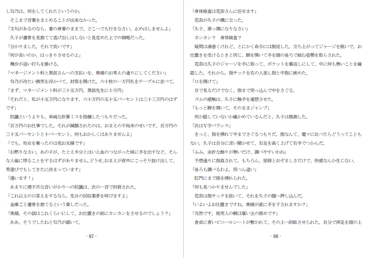 800万円のDVR:淫虐調教編