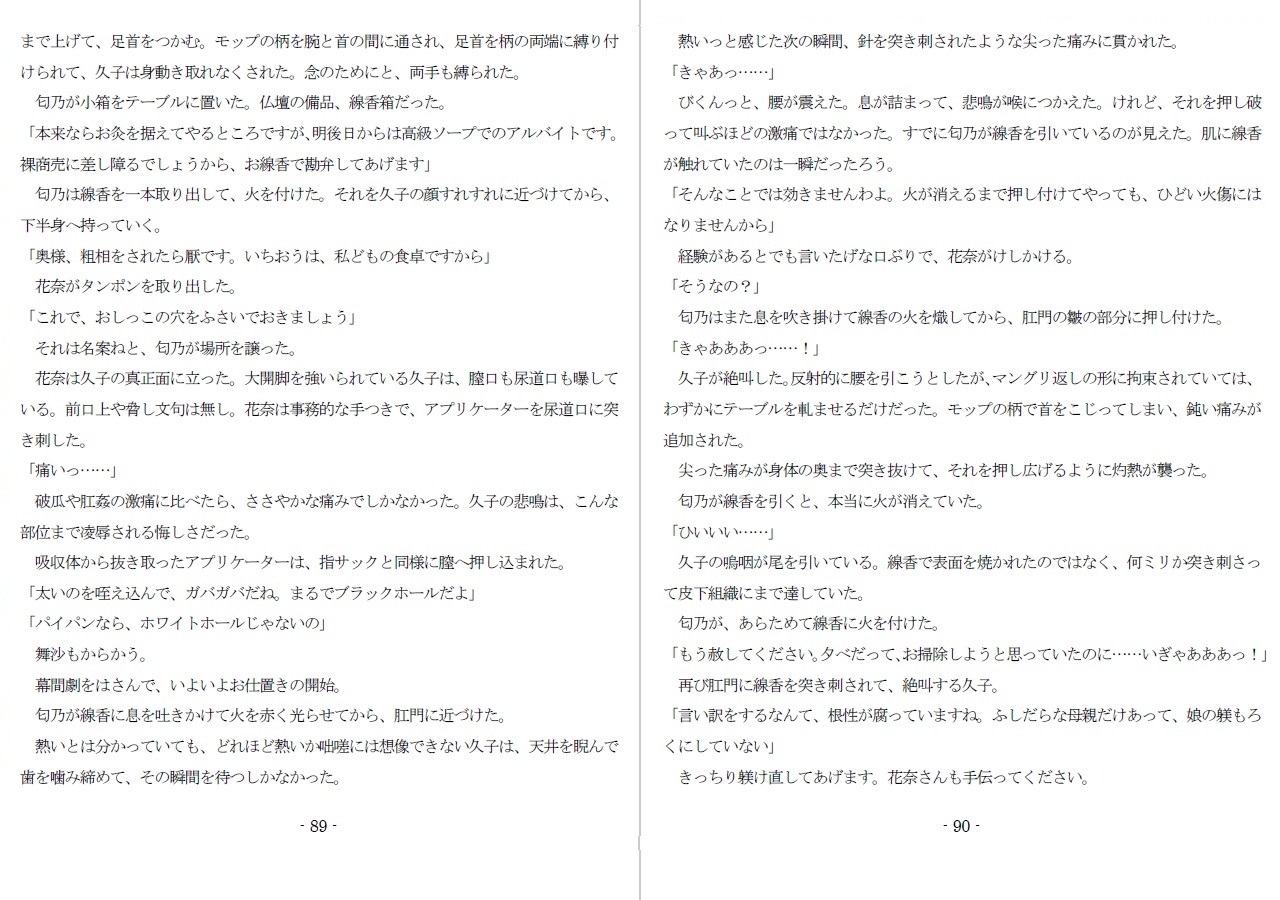 800万円のDVR:淫虐調教編