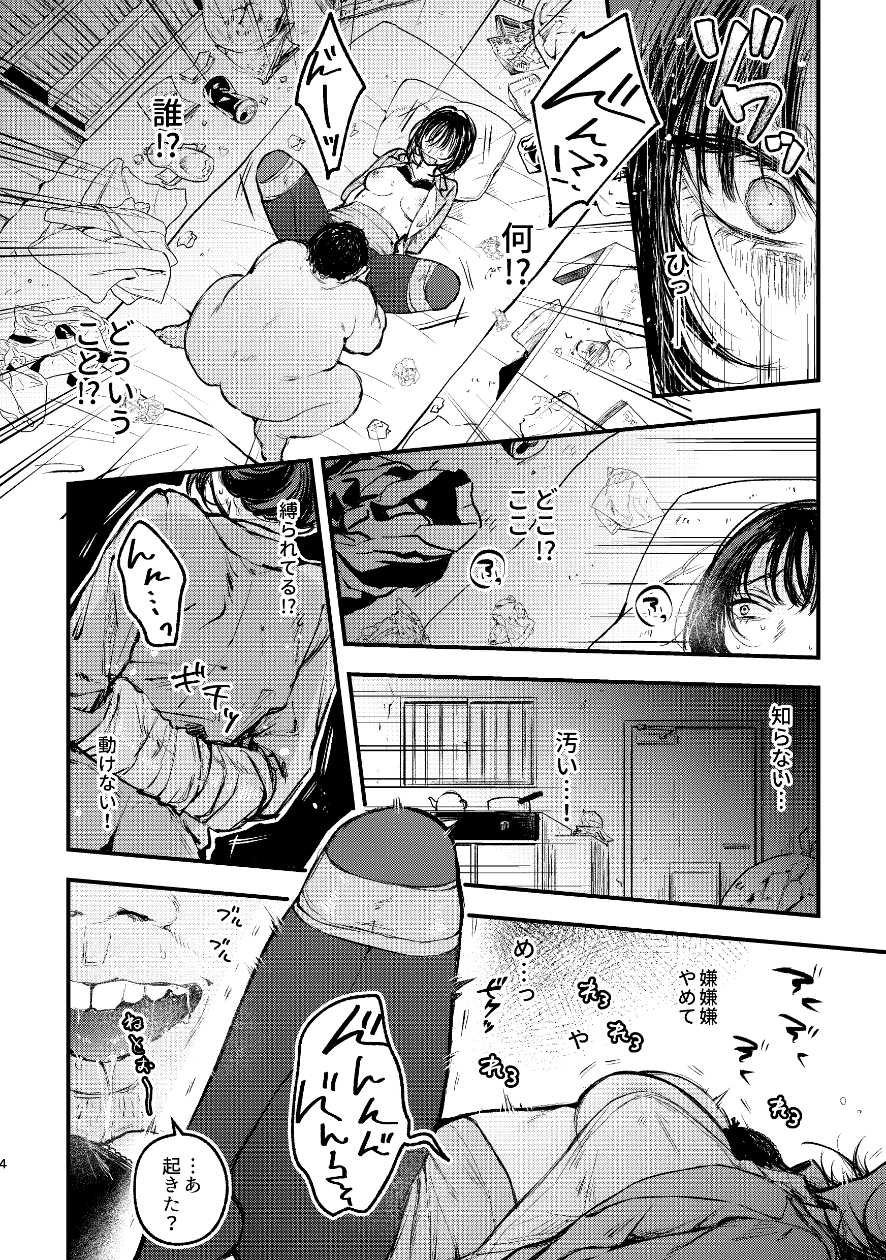 奈落の氷華 冷徹OL監禁陵○