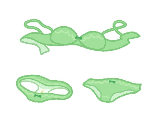 JKの使用済みブラ・パンツ・ソックスで生活する小人の話