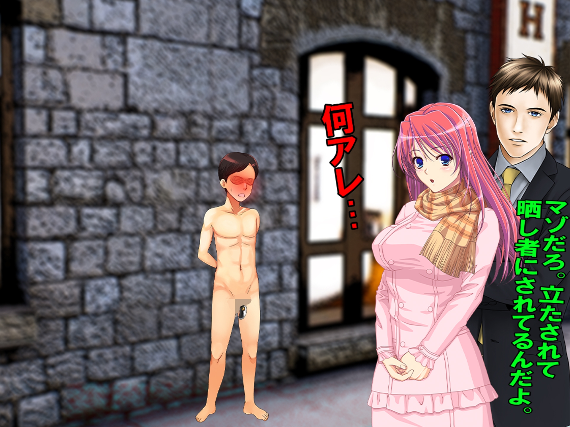 カホの屈辱婚活～M女と元カレの強◯夫婦～