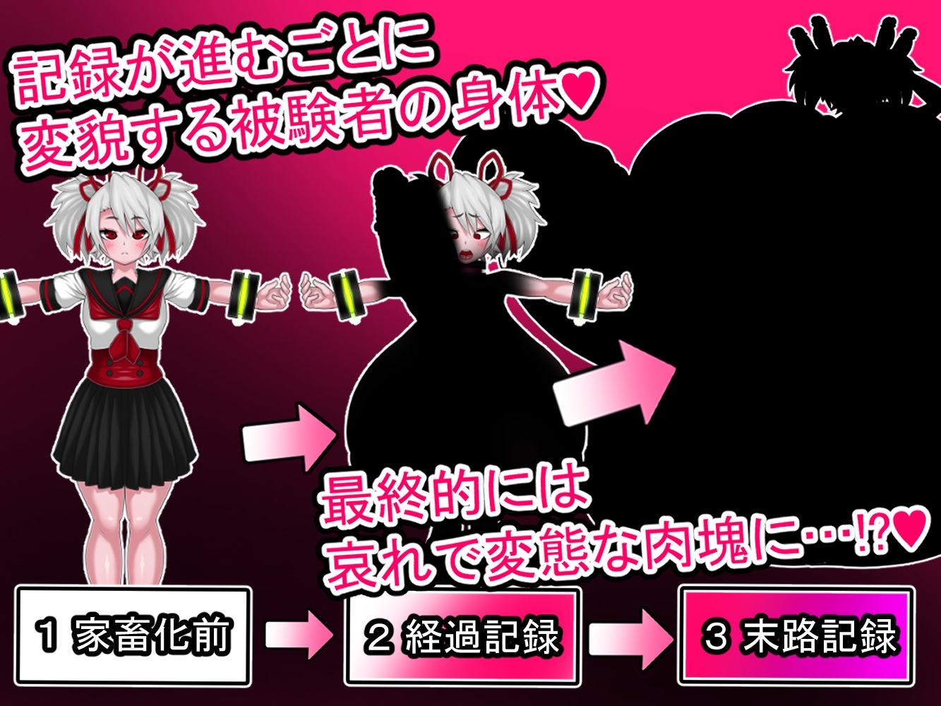 家畜化委員会実験記録