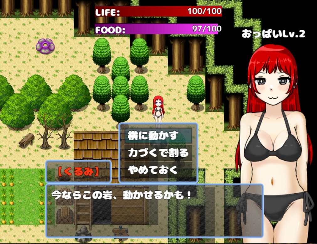 ドタバタどたぷん島