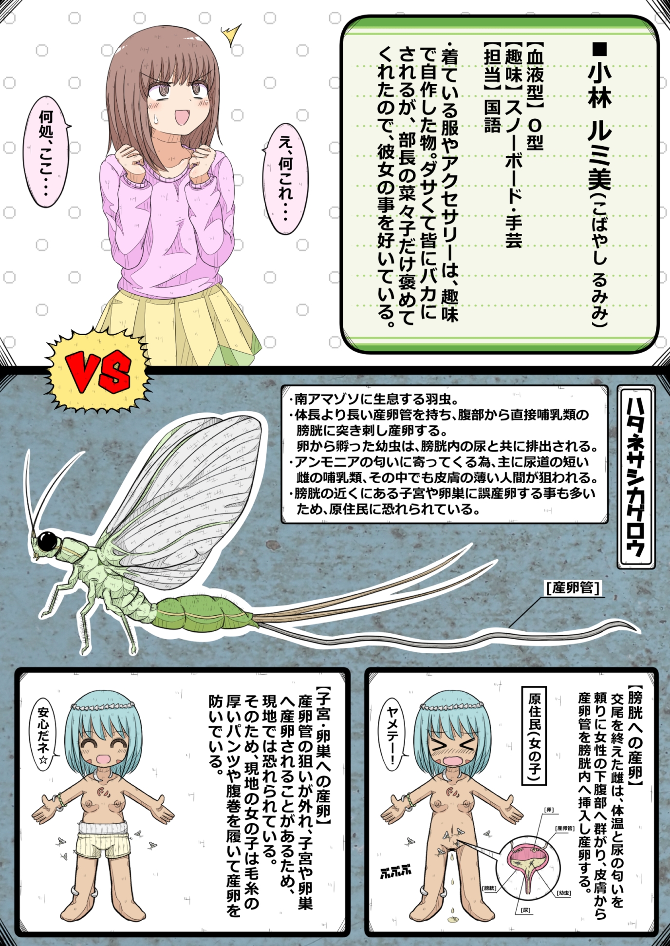 卵巣快楽研究部～顧問の卵巣を掌握せよ！の巻き～