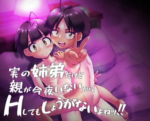 実の姉弟だけど親が今夜いないからHしてもしょうがないよねッ！！