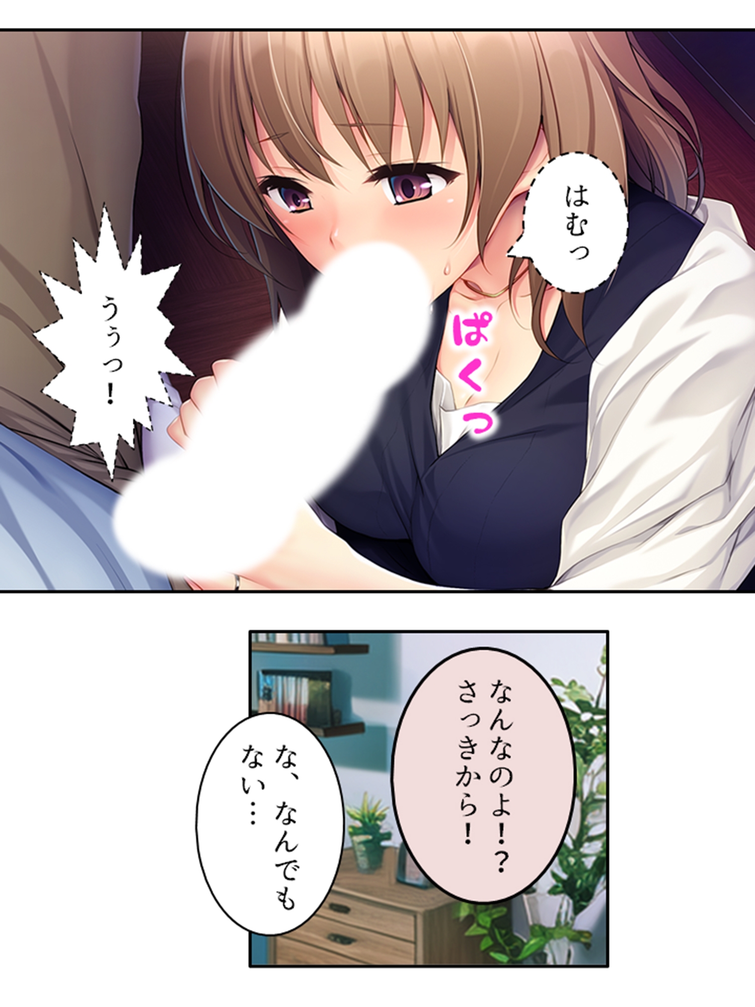 寝取らせプロジェクト!清楚な義姉の裏の顔