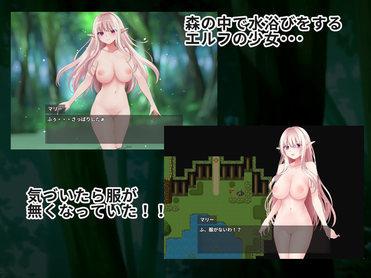 あるエルフの恥辱