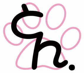 オナラ実演収録音源にえっちなイラストつけてぐぐっと実用的にしちゃいました！ 5