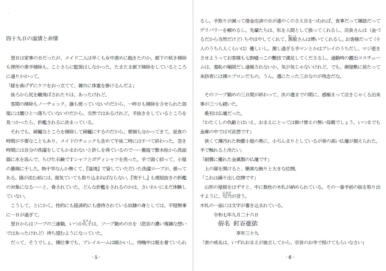 800万円のDVR:酷虐使役編