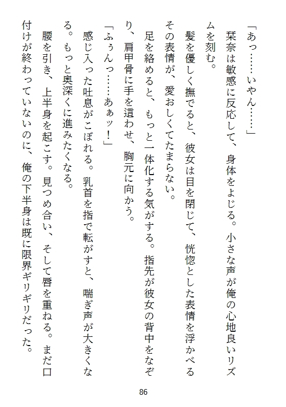 フェミフェチ～フェミニストの論理にイく男～