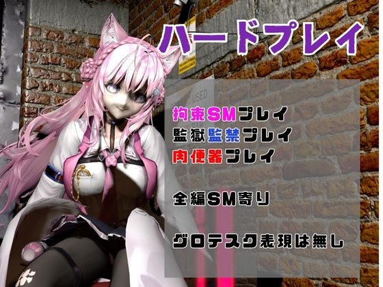 Vtuber博〇こよりは研究熱心、SMや肉便器のハードプレイも研究しちゃう総集編【動画5本】