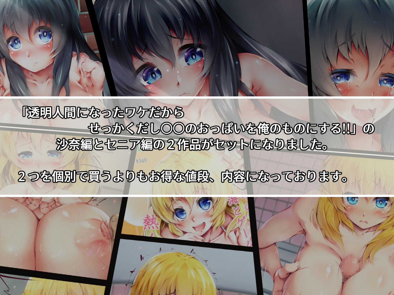 透明人間になったワケだから せっかくだし○○のおっぱいを俺のものにする!! 沙奈&セニア Wセット