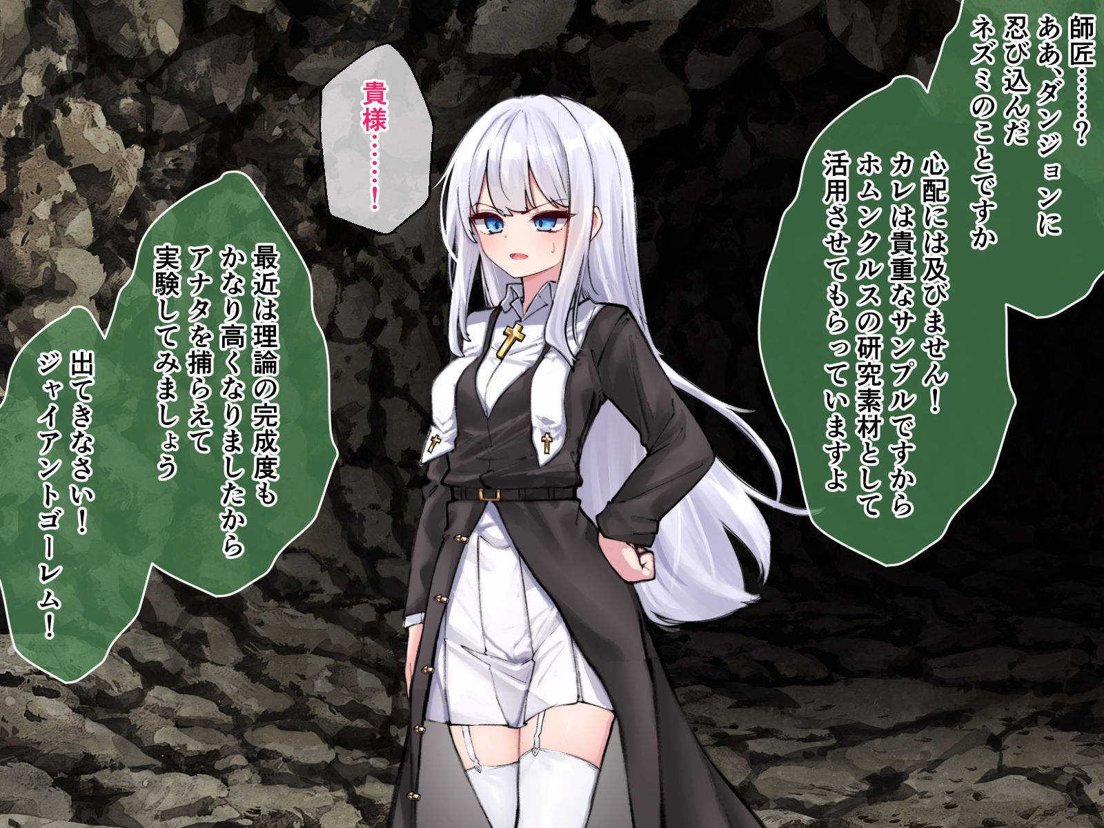 迷宮都市アサイラム CGノベル版 後編 ～聖女は堕ちて子宮で啼く～