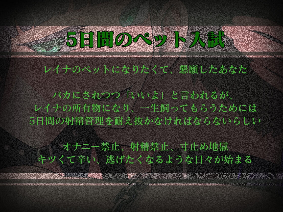 5日間のペット入試