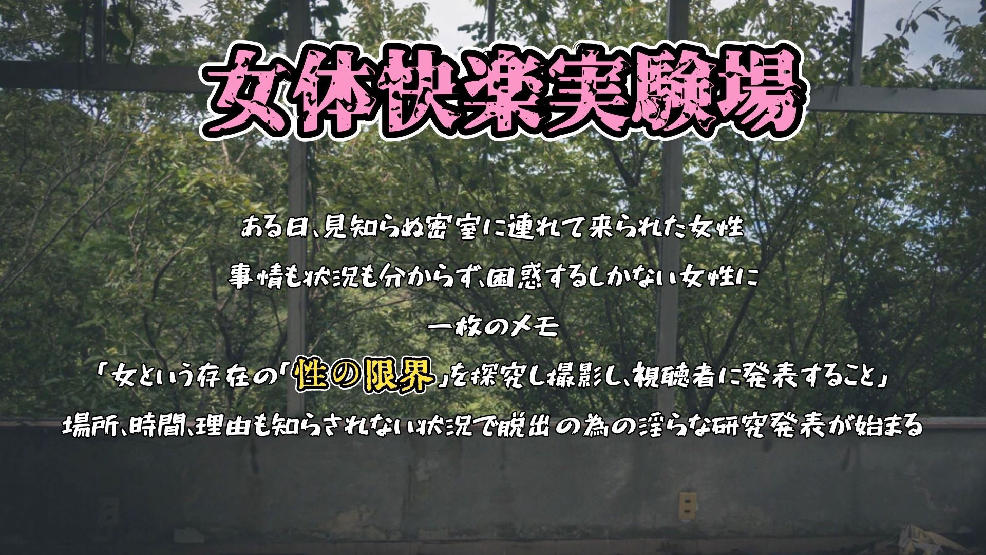 『女体快楽実験場』被験体No,001 「アルギュロス」Stage,2 前編