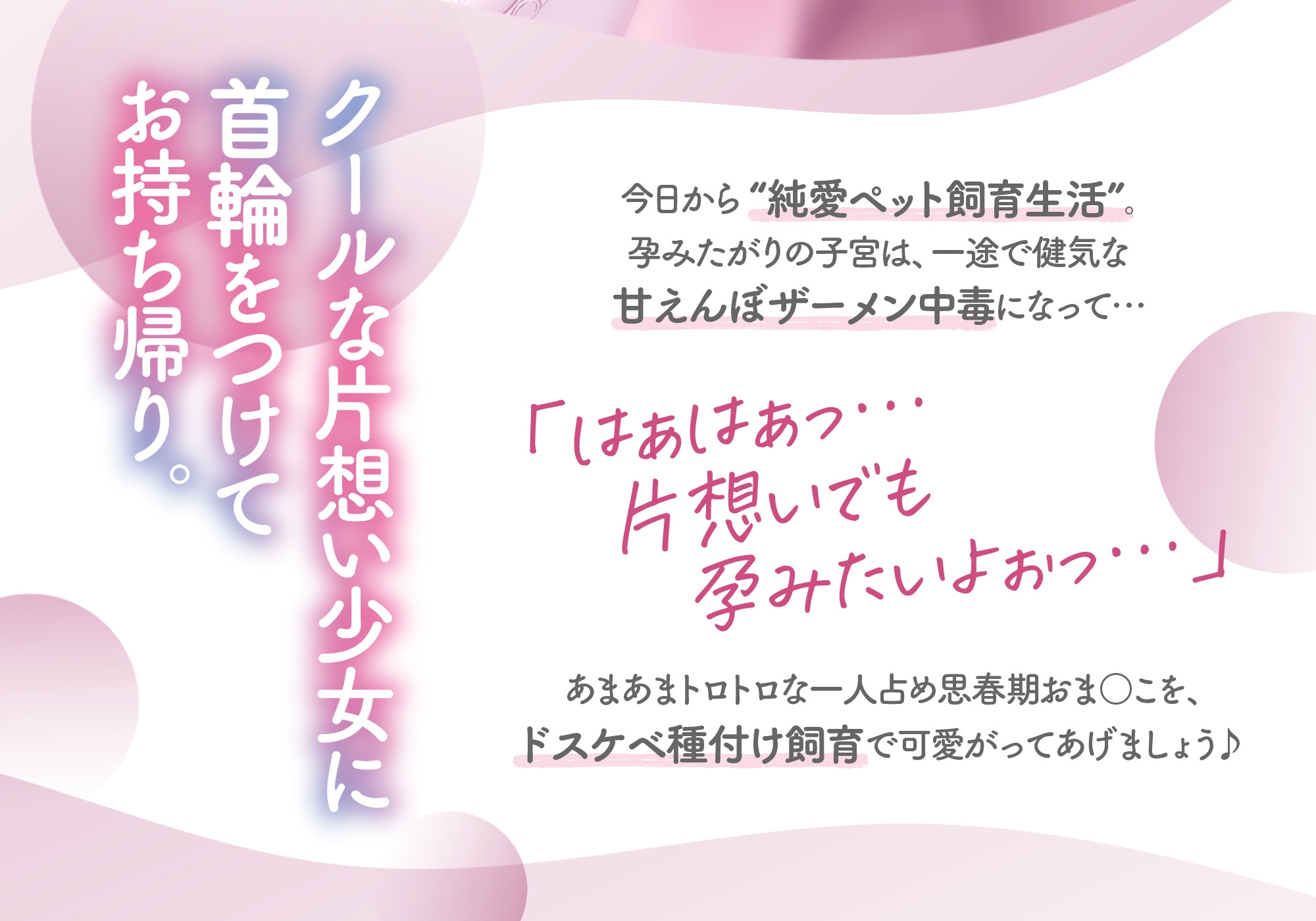 【6/9まで早期限定5大特典】クールな巨乳少女とのあまあま純愛飼育セックス。～片想い少女がチン媚びご奉仕…ラブラブ種付けエロ交尾♪～【KU100】