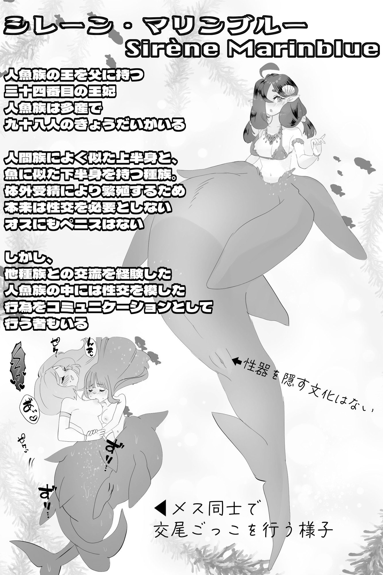 異世界憑依紀行ー有翼人とマーメイドー