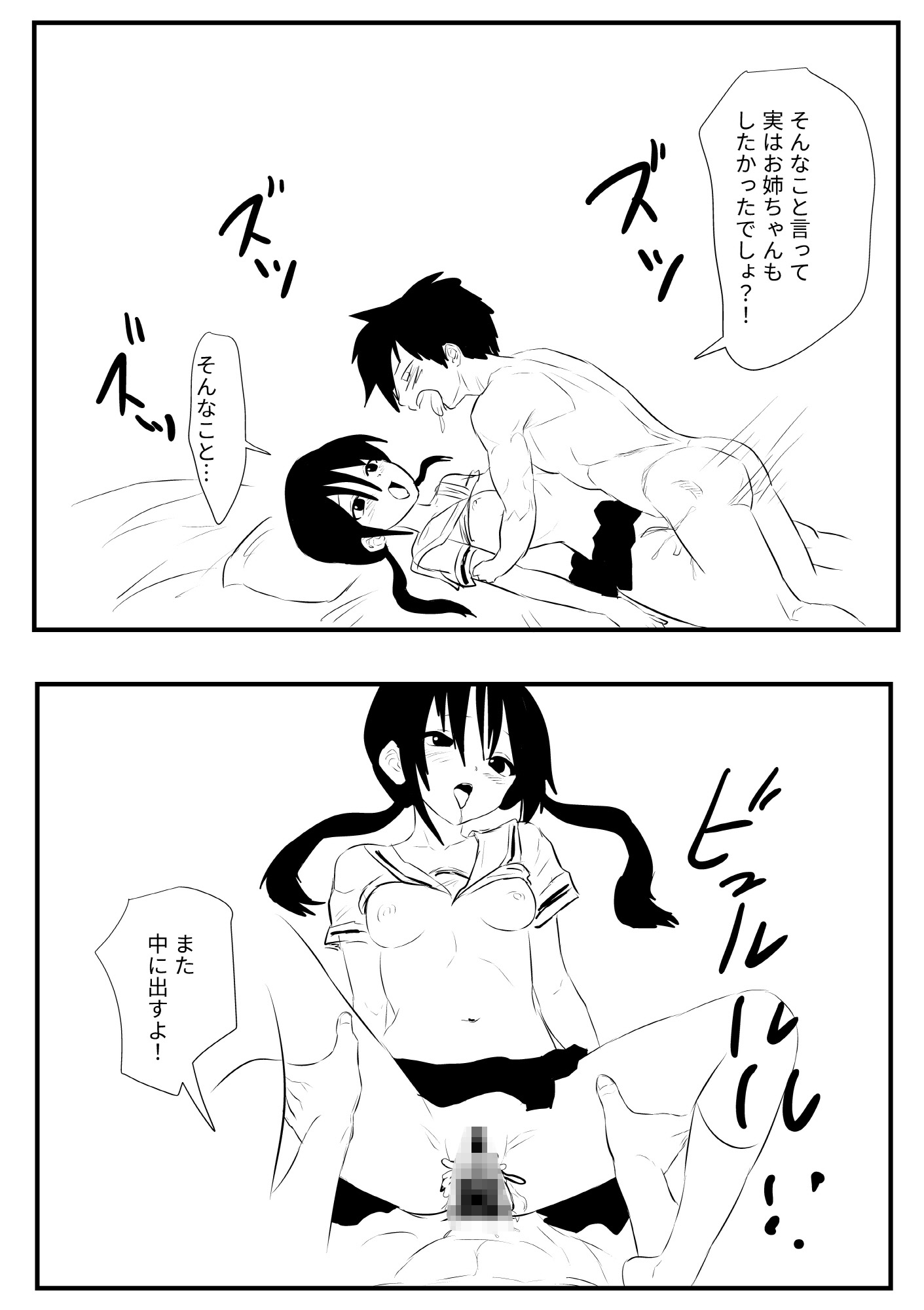 お姉ちゃんは俺だけのモノ