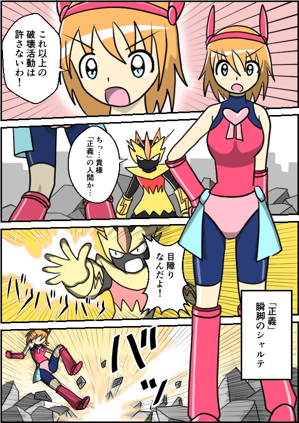 正義の味方の敗北譚